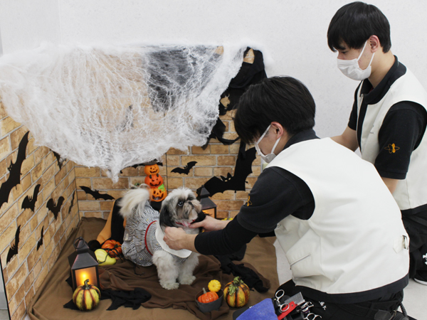 ２年生とモデル犬の写真撮影会♪～PART①～
